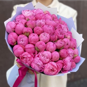 Букет из 51 розового пиона
