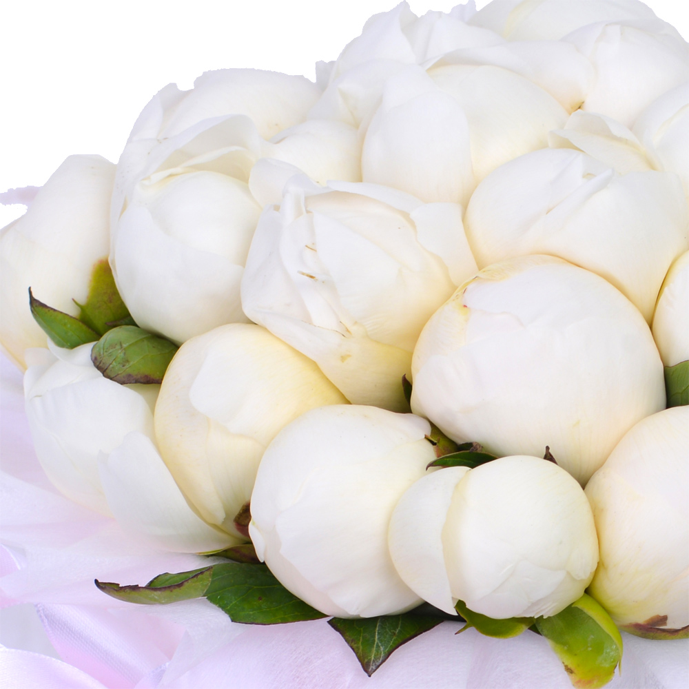 Букет из 35 белых пионов в белой шляпной коробке