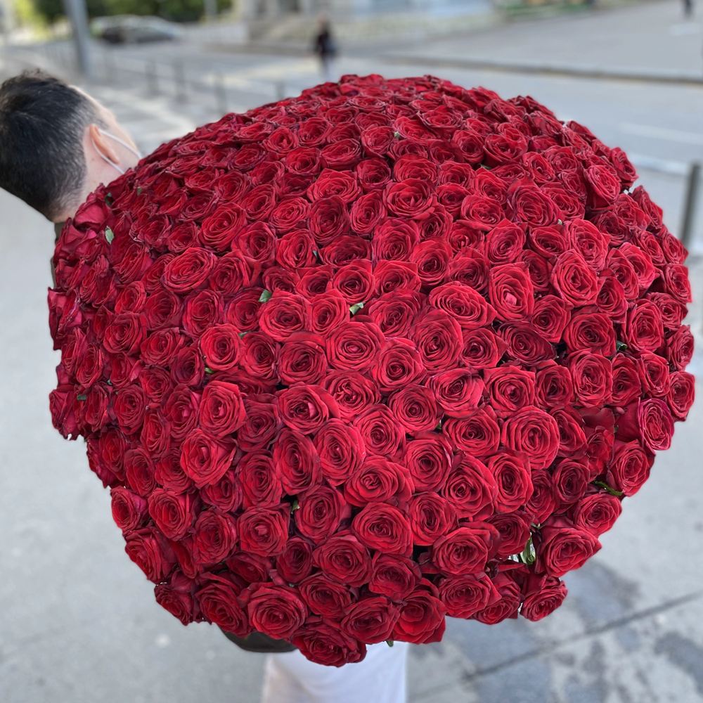 301 красная роза 60 см.