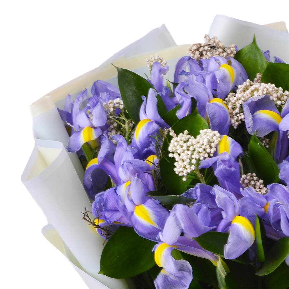 Букет с ирисами, озотамнусом и рускусом