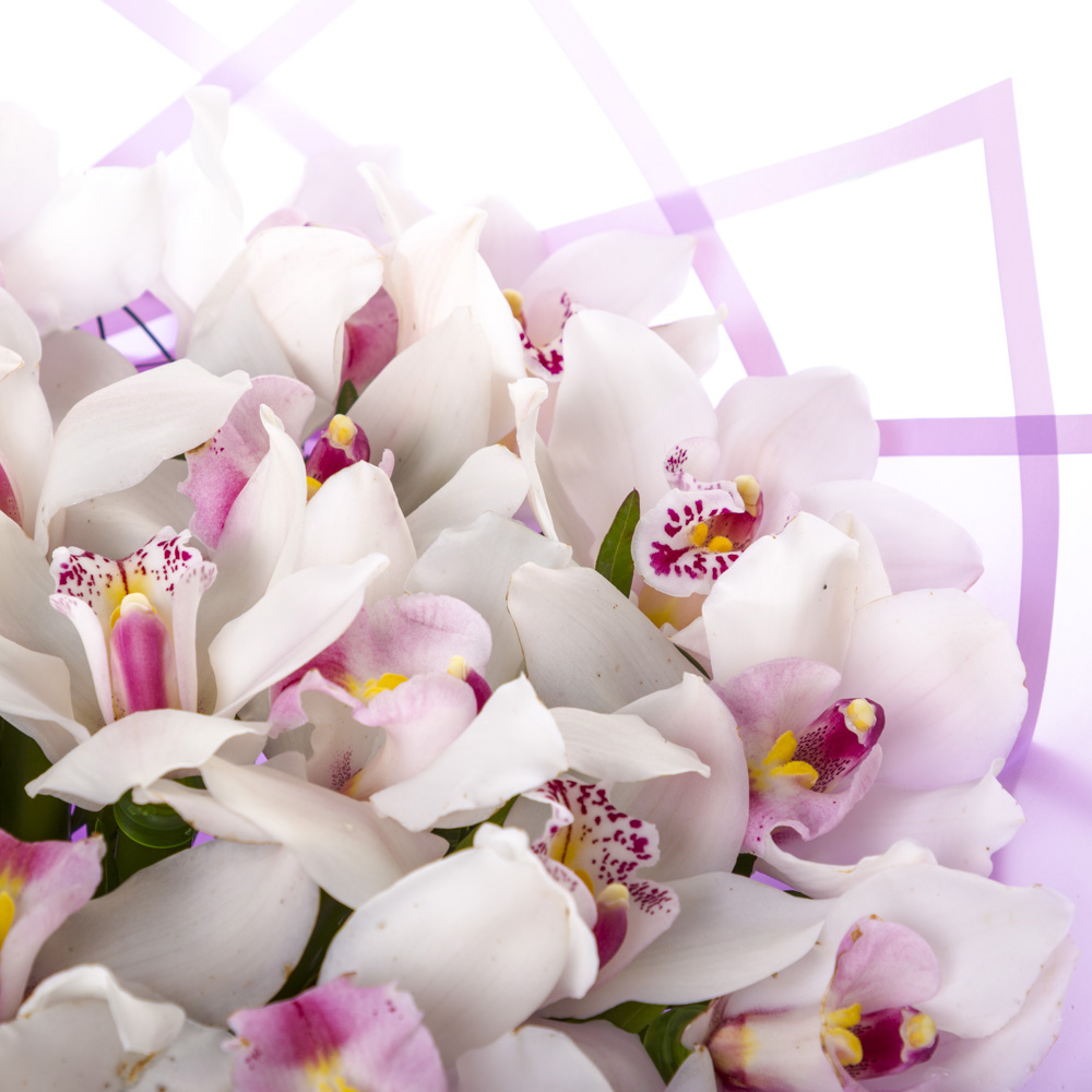 Букет из 25 белых орхидей