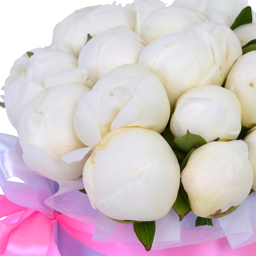 Букет из 25 белых пионов в фиолетовой шляпной коробке