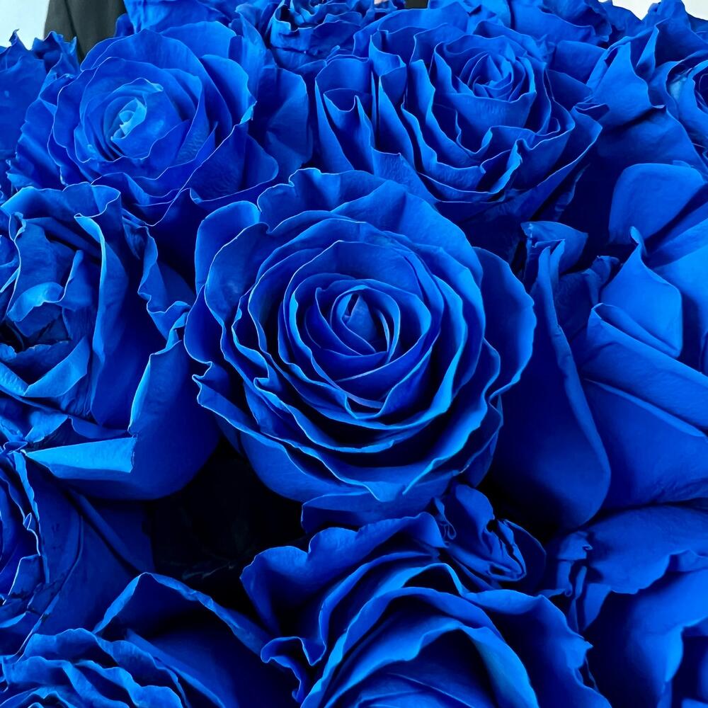 Букет из 13 синих роз Эквадор